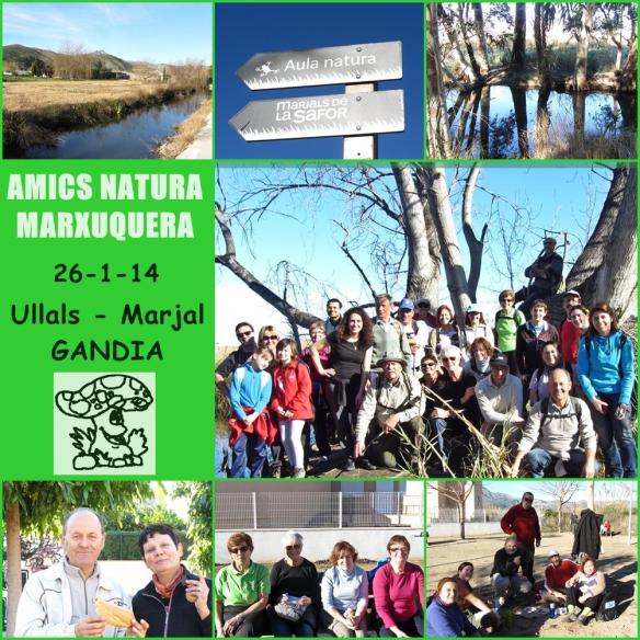 Ullals Marjal Gandia grup amics natura marxuquera_fotos